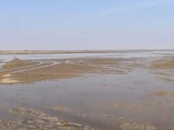 Kutch small desert, rain
