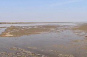 Kutch small desert, rain