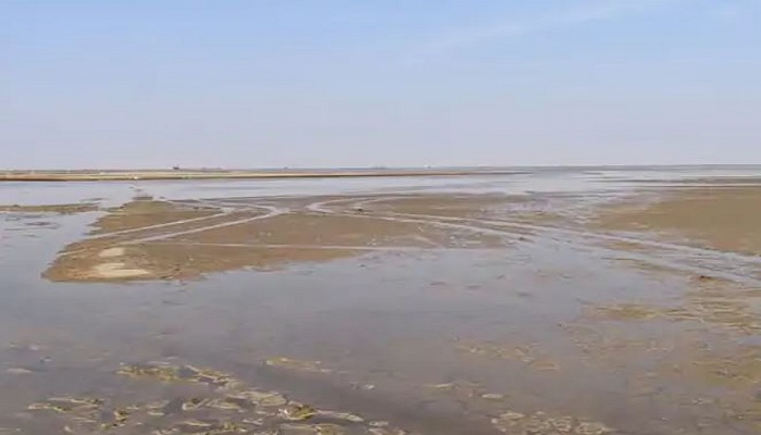 ધ્રાંગધ્રા અને પાટડી રણમાં કમોસમી વરસાદથી અગરિયાને ભારે નુકસાન