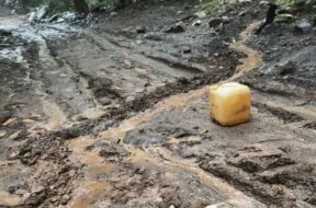 Lili Parikrama, rout washed