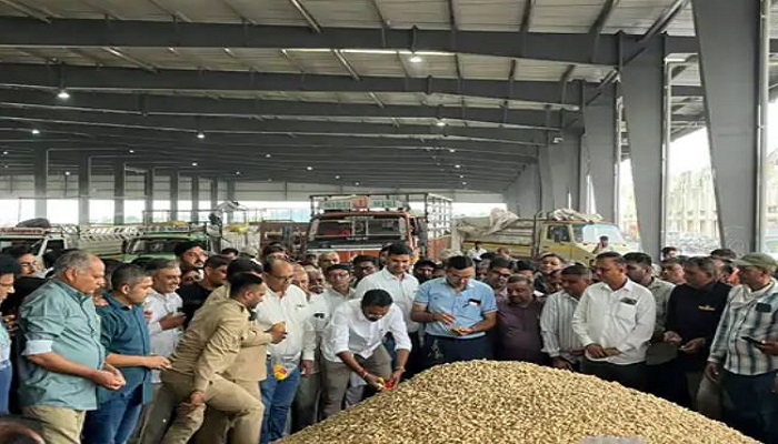 રાજકોટ માર્કેટિંગ યાર્ડમાં લાભપાંચમ બાદ મૂહુર્ત કરીને હરાજીનો પ્રારંભ કરાયો