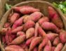 SWEET POTATO