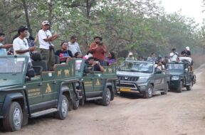 Sasangir sanctuary