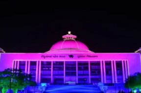 Vidhan sabha, lighting