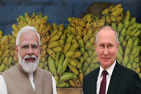 US ટેરિફ વચ્ચે, રશિયાએ ભારત સાથે એક મોટો સોદો કર્યો, દર વર્ષે 3-5 લાખ મેટ્રિક ટન કેળા ખરીદવાની યોજનાની જાહેરાત કરી