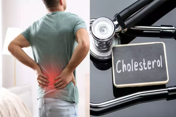 શરીરના આ ભાગોમાં દુખાવો વધે તો સમજો કે વધી રહ્યું છે કોલેસ્ટ્રોલ, તાત્કાલિક સારવાર કરાવો