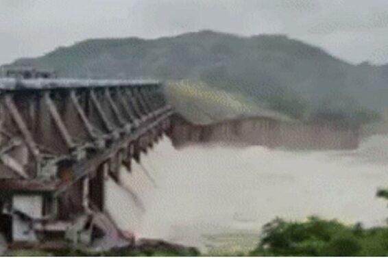 dharoi dam