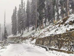himachal pradesh