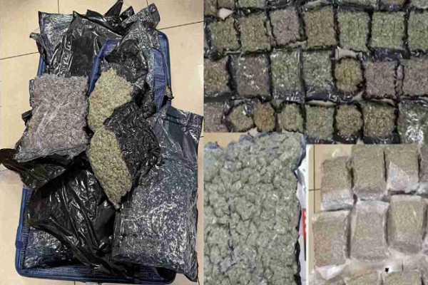 મુંબઈ એરપોર્ટ પર DRI અને કસ્ટમ્સની મોટી કાર્યવાહી, 55 કરોડ રૂપિયાનું ડ્રગ્સ જપ્ત કર્યું