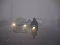 new delhi