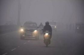 new delhi