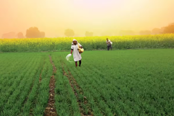 રવિ મોસમ માટે 37 952 કરોડ રૂપિયાની સહાય મંજૂર કરાઈ