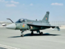 tejas