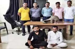 two cought with pentagon animal