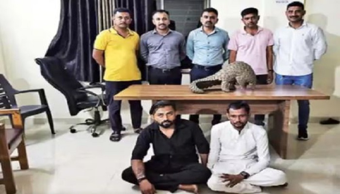 અતિ દૂર્લભ અને લુપ્ત પ્રજાતિનું પ્રાણી પેંગોલિન (કીડીખાવ) વેચવા જતા બે શખસો પકડાયા