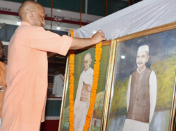 yogi