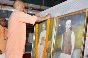 yogi