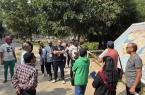 17 foreigners team, gir foundation