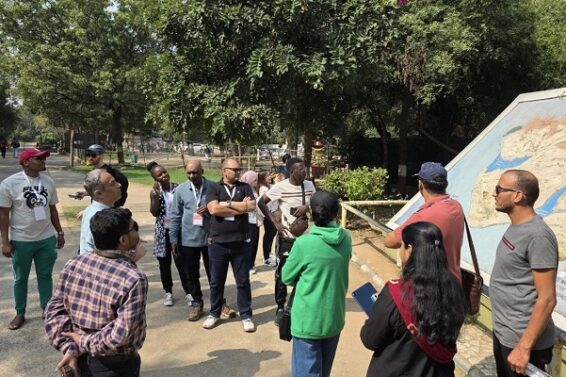 17 foreigners team, gir foundation