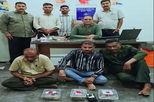 રાજકોટમાં એમ્બરગ્રીસ (વ્હેલ માછલીની ઊલટી)ના જથ્થા સાથે ત્રણ શખસો પકડાયા