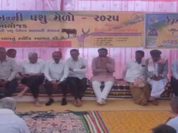 Animal fair, kutch