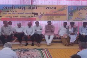Animal fair, kutch