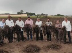 Damage to agricultural crops