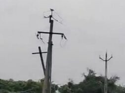 Electric pole, wire theft