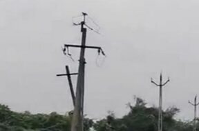 Electric pole, wire theft