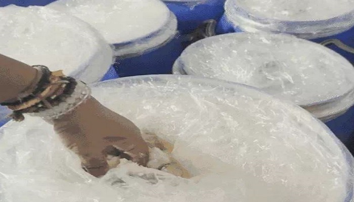 સુરતમાં પનીરના નમુના ફેલ થતાં જાણીતી ડેરીના સંચાલક સામે ગુનો નોંધાયો