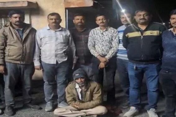 Marijuana plantation caught in chotila