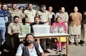 Rajkot, snakes, accused