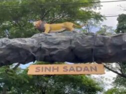 Sinh sadan