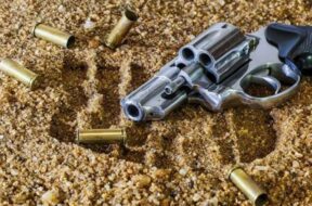 આરોપી ઝડપાયા