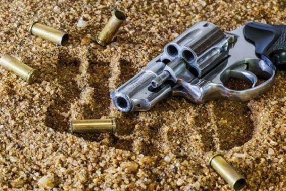 આરોપી ઝડપાયા