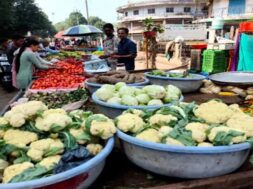 Vegetable market