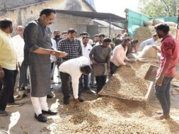 purchase of groundnuts at support price