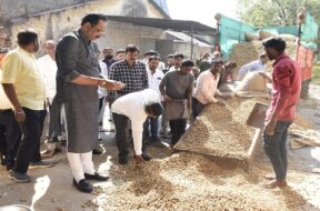 purchase of groundnuts at support price