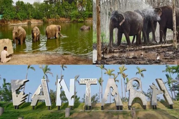 સંયુક્ત રાષ્ટ્ર સંગઠન CITES દ્વારા જામનગરમાં સ્થિત વનતારાને વિશ્વનું શ્રેષ્ઠ વન્યજીવન સંરક્ષણ કેન્દ્ર જાહેર કર્યું