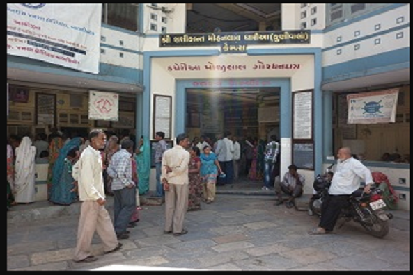 મહિસાગરના બાલાસિનોરમાં કમળના 126 કેસ નોંધાયો, આરોગ્ય વિભાગની ટીમ પહોંચી