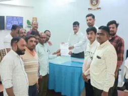 Disa, overlode dumper, presentation