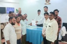 Disa, overlode dumper, presentation