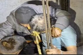 Elderly man trapped in the elevator rescued