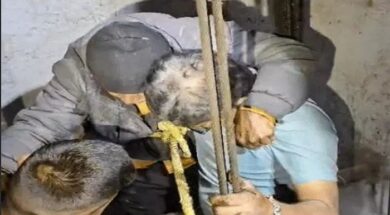 Elderly man trapped in the elevator rescued