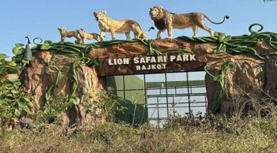 LION SAFARI PARK, RAJKOT