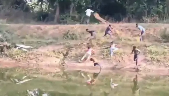 ઠાસરાના ઉધમતપુરા ગામ નજીક કેનાલ પાસે દીપડાએ હુમલો કરતા ચાર યુવાનો ઘવાયા