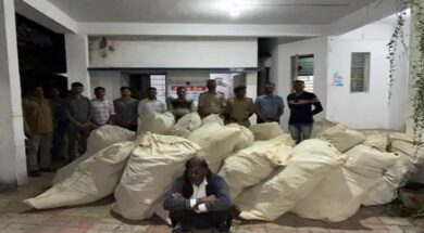 Marijuana seized, Balasinor