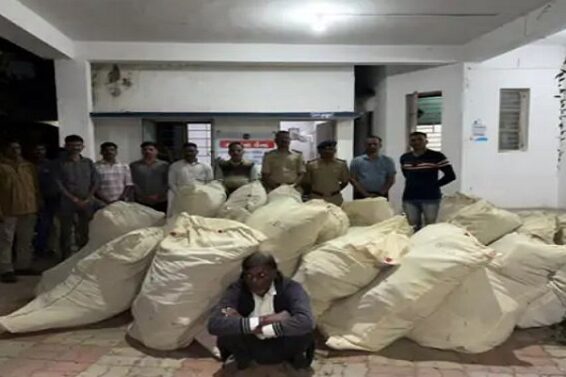 Marijuana seized, Balasinor