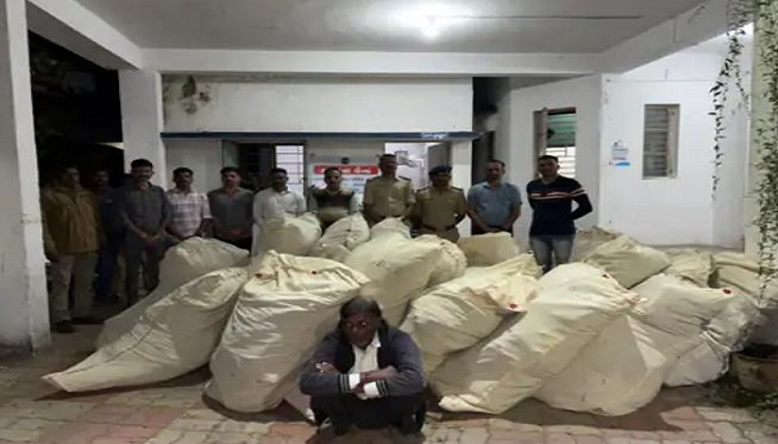 બાલાસિનોર નજીક ગાંજાનું વાવેતર પકડાયુ, 473 કિલો ગાંજા સાથે એકની ધરપકડ