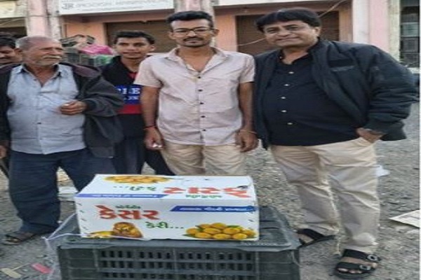 પોરબંદર યાર્ડમાં ભર શિયાળે કેસર કેરીનું આગમન, ખેડૂતને કેટલો ભાવ મળ્યો ? જાણો